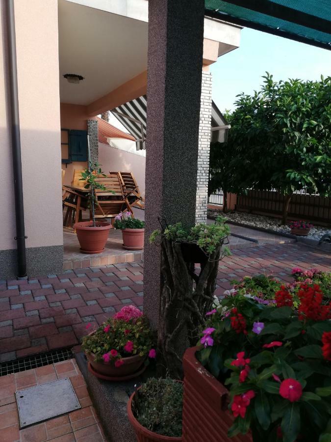Apartments Merlin Novigrad Istria Εξωτερικό φωτογραφία